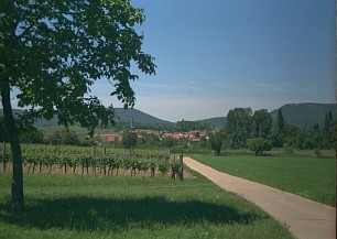 Heuchelheim-Klingen (c) Peter J. Feldmann