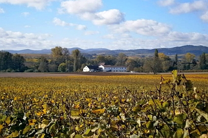 Blick auf das Gästehaus "Mühlengrund"